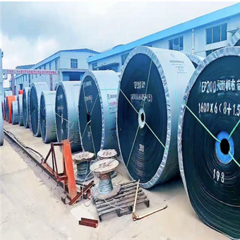 Кислотощелочестойкая конвейерная лента